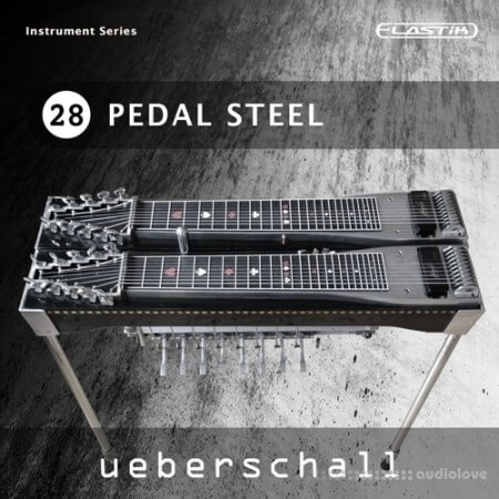 Ueberschall Pedal Steel [Elastik]