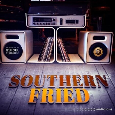 Divided Souls Southern Fried Volume 1 [WAV]