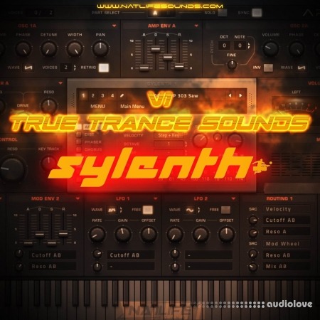 NatLife True Trance Sounds V1 [Synth Presets]