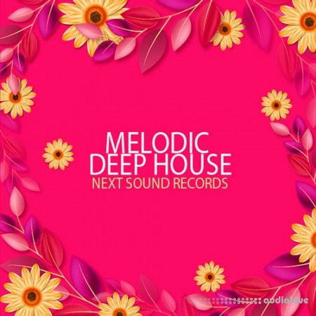 Next Sound Records Melodic Deep House [WAV, MiDi, Synth Presets]