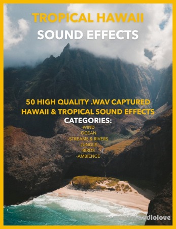 Jakob Owens Productions Tropical Hawaii Sound Effects Pack Vol.1 [WAV]