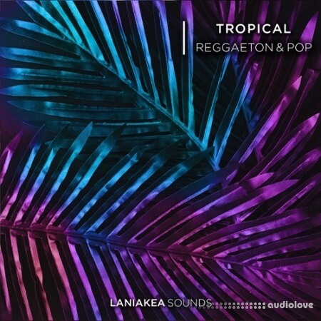 Laniakea Sounds Tropical Reggaeton And Pop [WAV]
