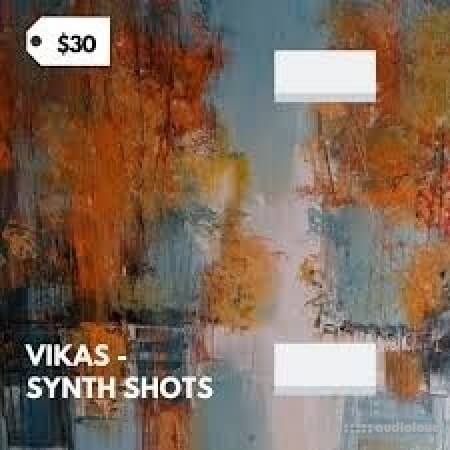 Vikas Synth Shots Library [WAV]