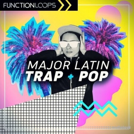 Function Loops Major Latin Trap and Pop