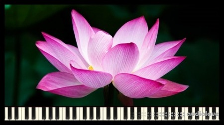 Udemy How to Compose Relaxing Music [TUTORiAL]