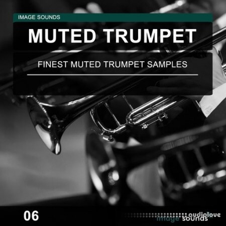 Image Sounds Muted Trumpet 06 [WAV]