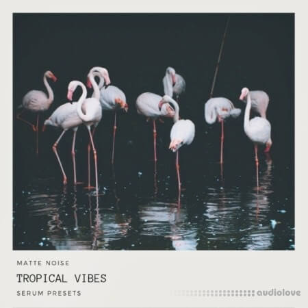 GOGOi Tropical Vibes [Synth Presets]
