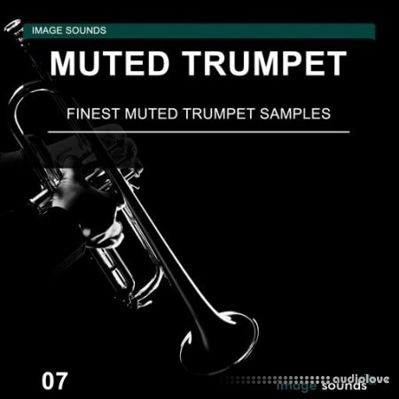 Image Sounds Muted Trumpet 07