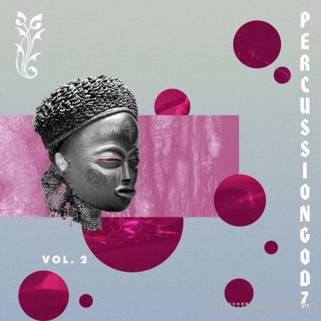 RARE Percussion PercussionGodz Vol.2 [WAV]