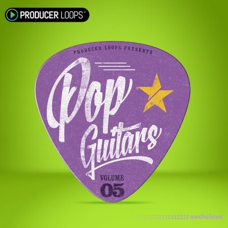 Producer Loops Pop Guitars Vol.5 [WAV, MiDi, REX]