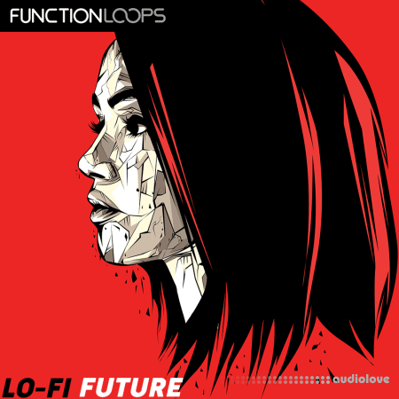 Function Loops Lofi Future