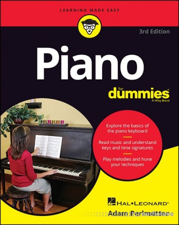 Piano For Dummies, 3rd Edition (For Dummies (Music))