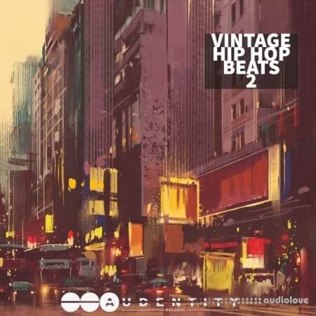 Audentity Records Vintage Hip Hop Beats 2 [WAV]