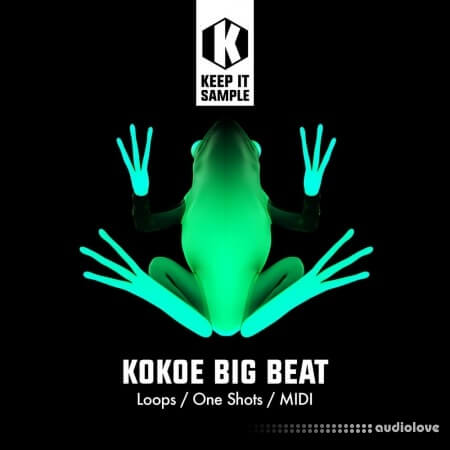 Keep It Sample Kokoe Big Beat [WAV, MiDi]