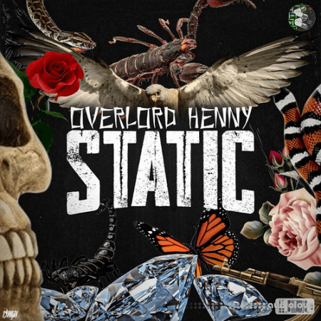 Henny Static Vol.1 [WAV, DAW Templates]