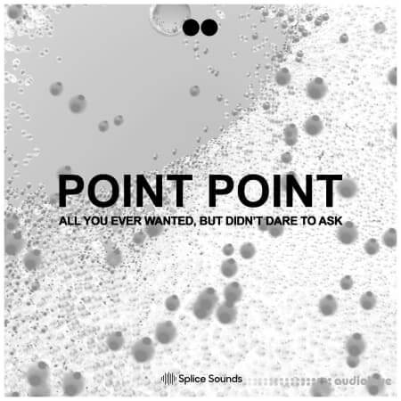Splice Sounds POINT POINT All You Ever Wanted, But Didn't Dare To Ask [WAV]