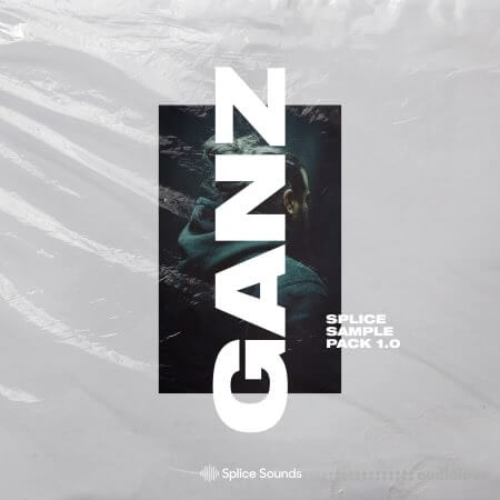 Splice Sounds GANZ Sample Pack [WAV]