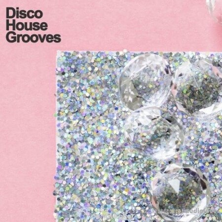 Samplestar Disco House Grooves [WAV, MiDi]