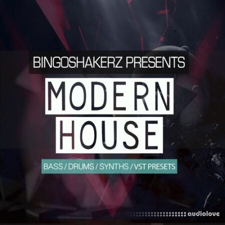 Bingoshakerz Modern House [WAV, Synth Presets]