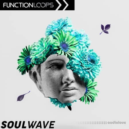 Function Loops Soulwave [WAV]