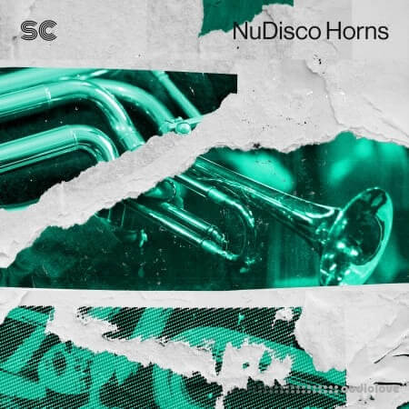 Sonic Collective NuDisco Horns [WAV]