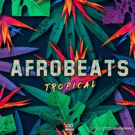 Godlike Loops Afrobeats Tropical [WAV, MiDi]
