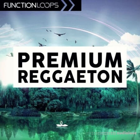 Function Loops Premium Reggaeton [WAV, MiDi, Synth Presets]