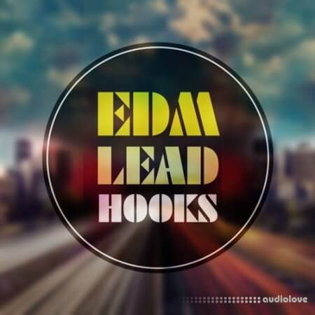Roundel Sounds EDM Lead Hooks Vol.1 [WAV, MiDi]