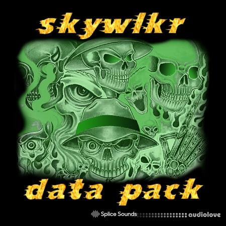 Splice Sounds skywlkr data pack [WAV]