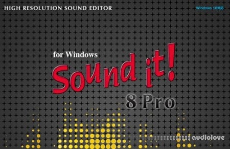 Internet Sound It 8 Pro v8.04.3 [WiN]