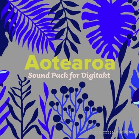 ELEKTRON Aotearoa Sound Pack for Digitakt [Synth Presets]