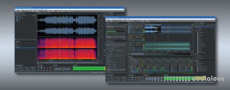 Ivosight Soundop Audio Editor