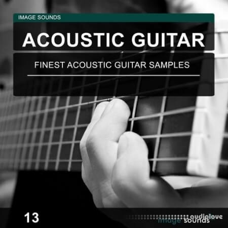 Image Sounds Acoustic Guitar 13