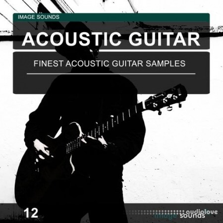 Image Sounds Acoustic Guitar 12