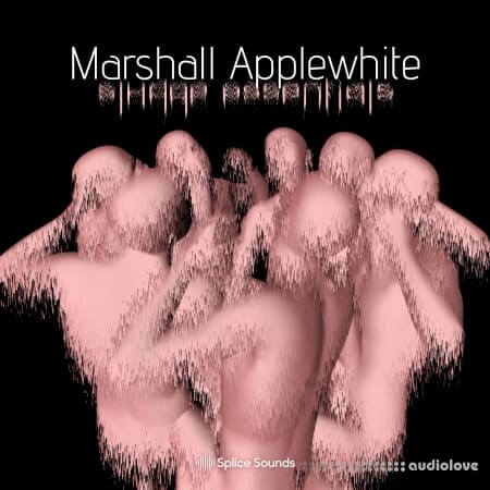 Splice Sounds Marshall Applewhite Sludge Essentials Pack [WAV]