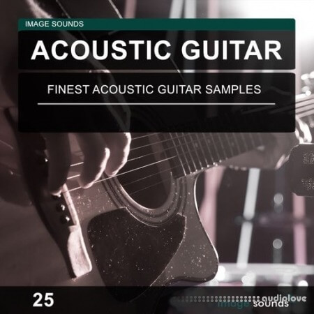 Image Sounds Acoustic Guitar 25