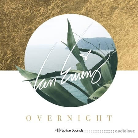 Splice Sounds Ian Ewing Overnight Sample Pack [WAV, Synth Presets]