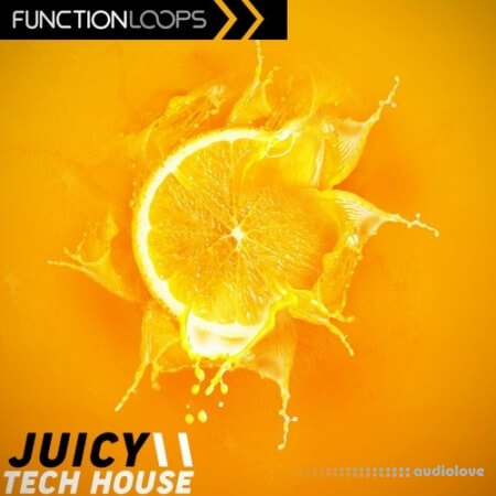Function Loops Juicy Tech House