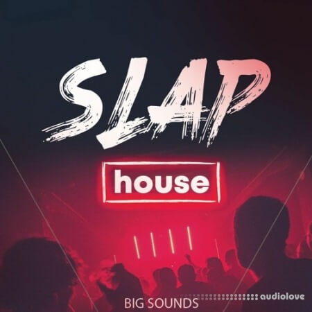 Big Sounds Slap House [WAV, MiDi, Synth Presets]
