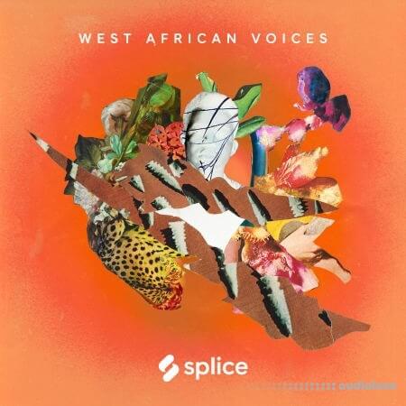 Splice Sessions West African Voices [WAV]