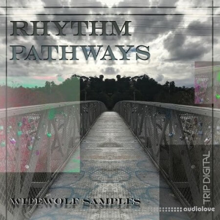 Trip Digital Rhythm Pathways [WAV]