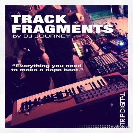 Trip Digital Track Fragments [WAV]