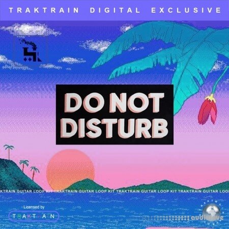 TrakTrain Do Not Disturb Guitar Loop Kit [WAV]