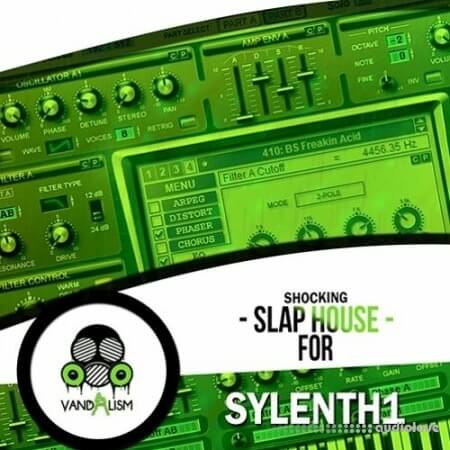 Vandalism Shocking Slap House For Sylenth1 [Synth Presets]