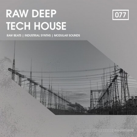 Bingoshakerz Raw Deep Tech House [WAV]