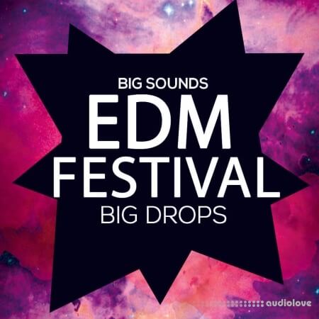 Big Sounds EDM Festival Big Drops [WAV, MiDi]