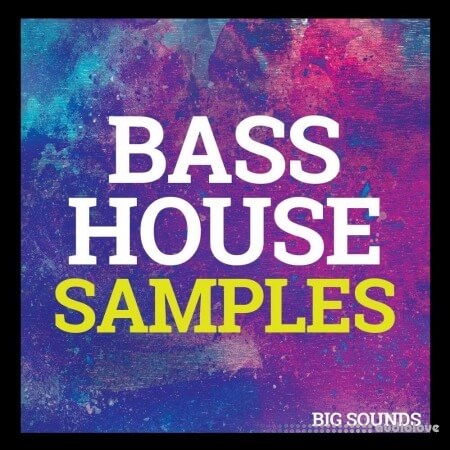 Big Sounds Bass House Samples [WAV, MiDi, Synth Presets]