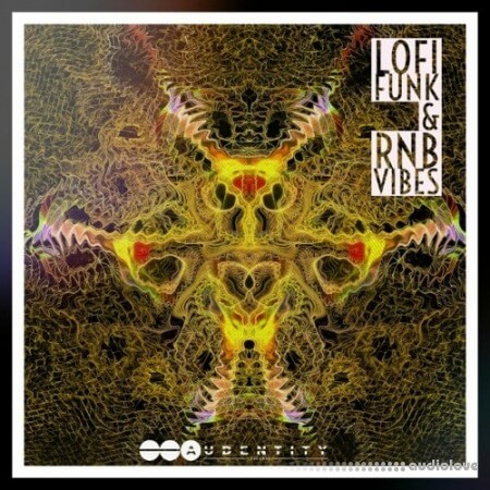 Audentity Records Lofi Funk x Rnb Vibes [WAV]