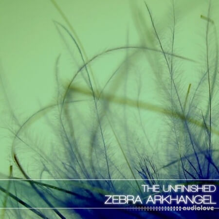 The Unfinished Zebra Arkhangel Dark Edition [Synth Presets]