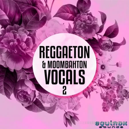 Equinox Sounds Reggaeton and Moombahton Vocals Vol.2 [WAV, MiDi]